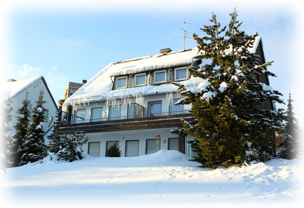 וילינגן Wietheger'S Gaestehaus Centrum חדר תמונה